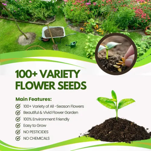 Multiple Variety Of Flower Seeds (Pack of 100 Seeds)
