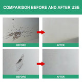Crack Gap Repair and Filler Paste (Only Paste)