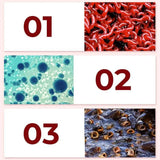Fishing Attractant (Pack of 2)