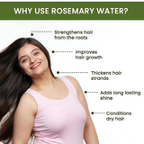 Rosemary Water Hair Spray For Regrowth (Pack of 3)