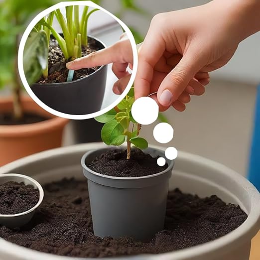 Plant Grow Fertilizer Sticks For Plants (Pack of 50 Sticks)