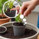 Plant Grow Fertilizer Sticks For Plants (Pack of 50 Sticks)
