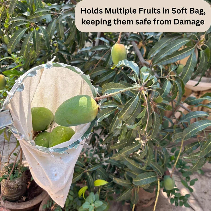 Premium Fruit Picker Basket Tool with Storage Bag