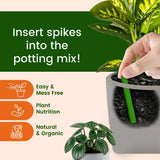 Plant Grow Fertilizer Sticks For Plants (Pack of 50 Sticks)