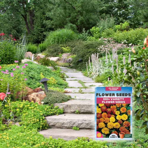 Multiple Variety Of Flower Seeds (Pack of 100 Seeds)