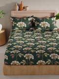 Bamboo Micro King Size Elastic Fitted Premium Elastic Fitted Bedsheet With 2 Pillow Covers