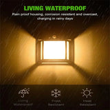 Solar Light Outdoor Wall Light (Pack of 1)